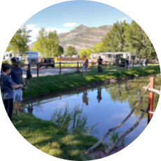 camp events