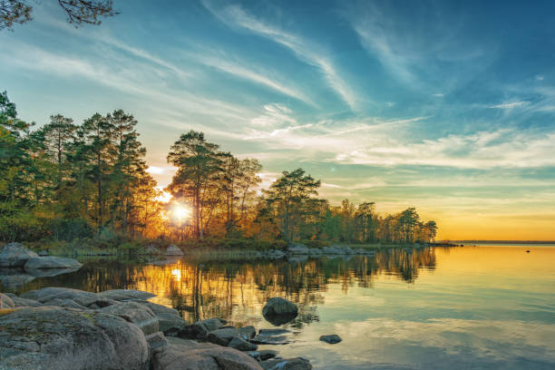 Sweden Landscape