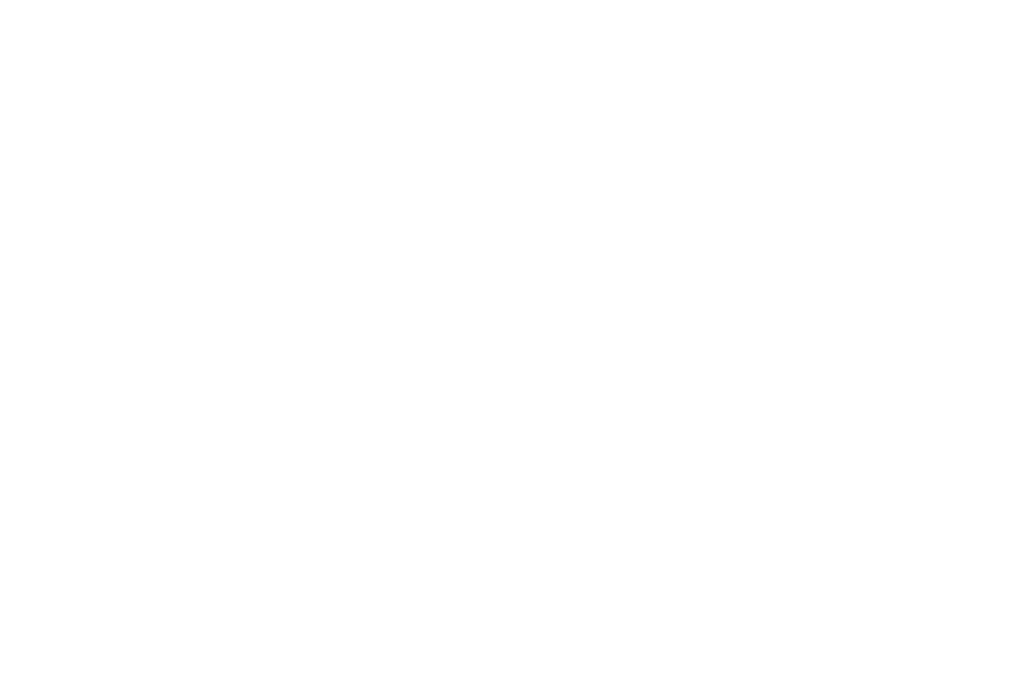 We Rocked This Rock!