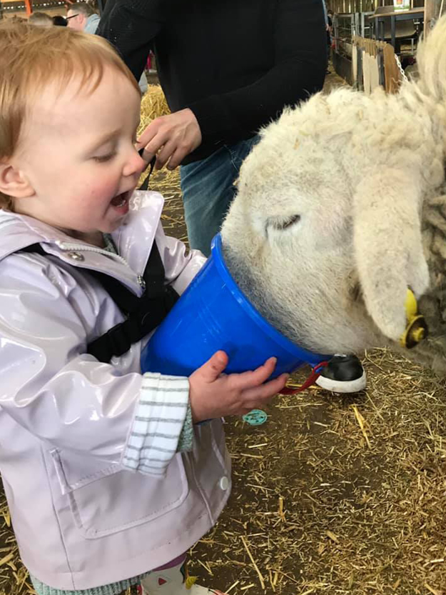 Child petting goat