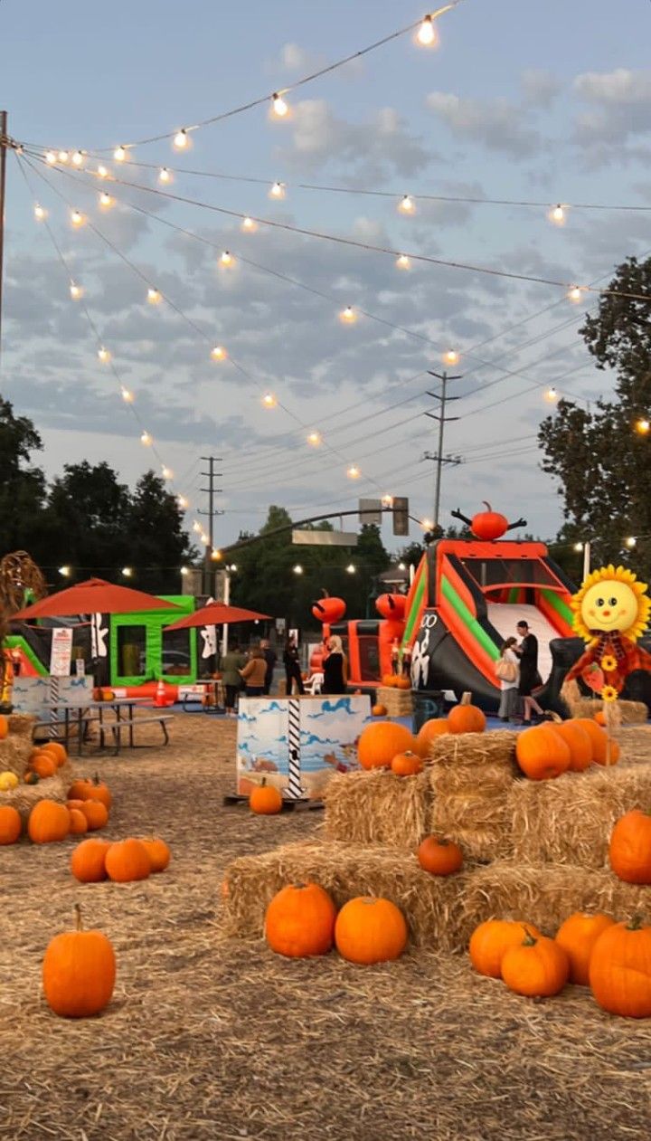Halloween pumpkin patch