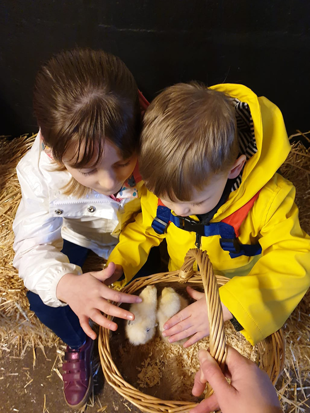 Children holding bunnies