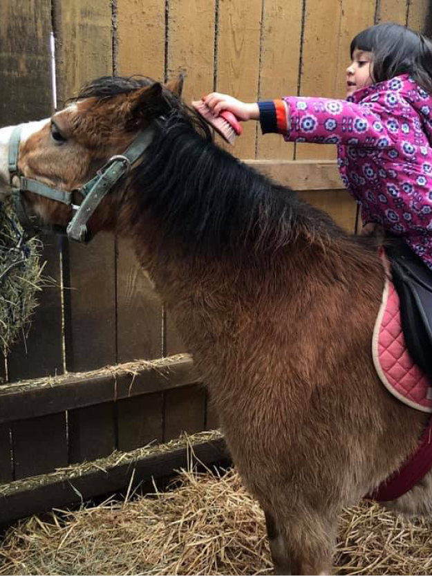 Child brushing pony