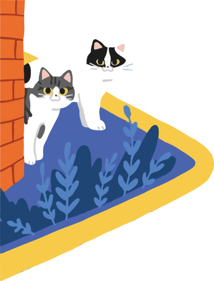 Two cats on a blue triangular shape beside a brick wall