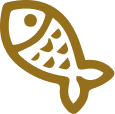 Fish icon