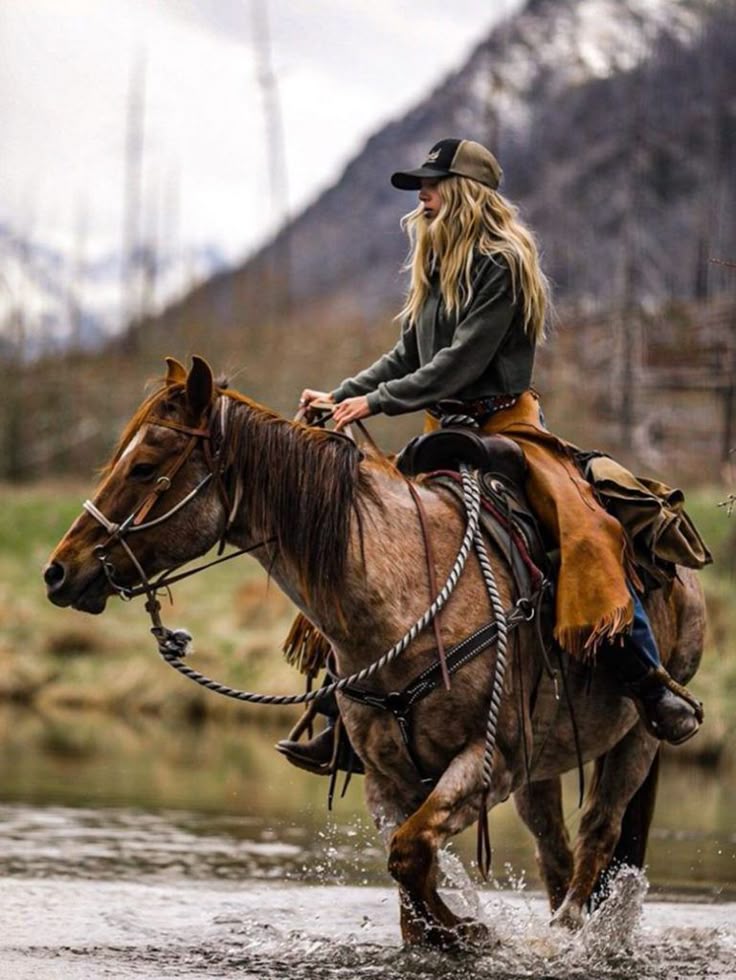 Lash Lane horse photo
