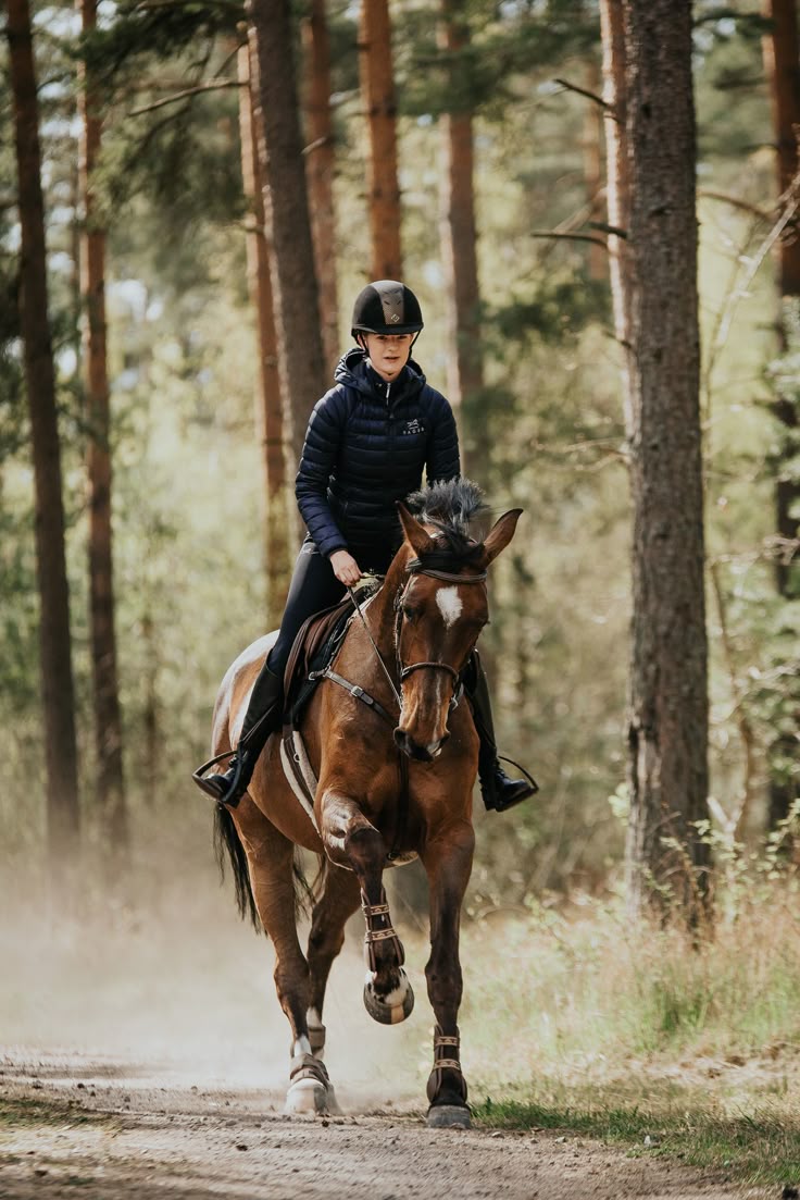 Vaquero horse photo