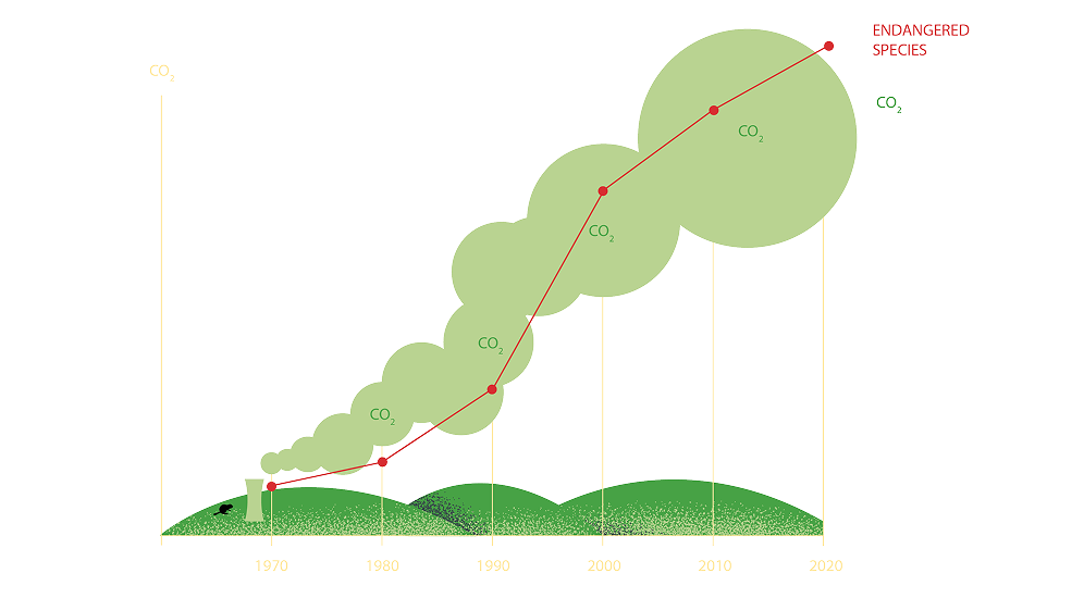 data image