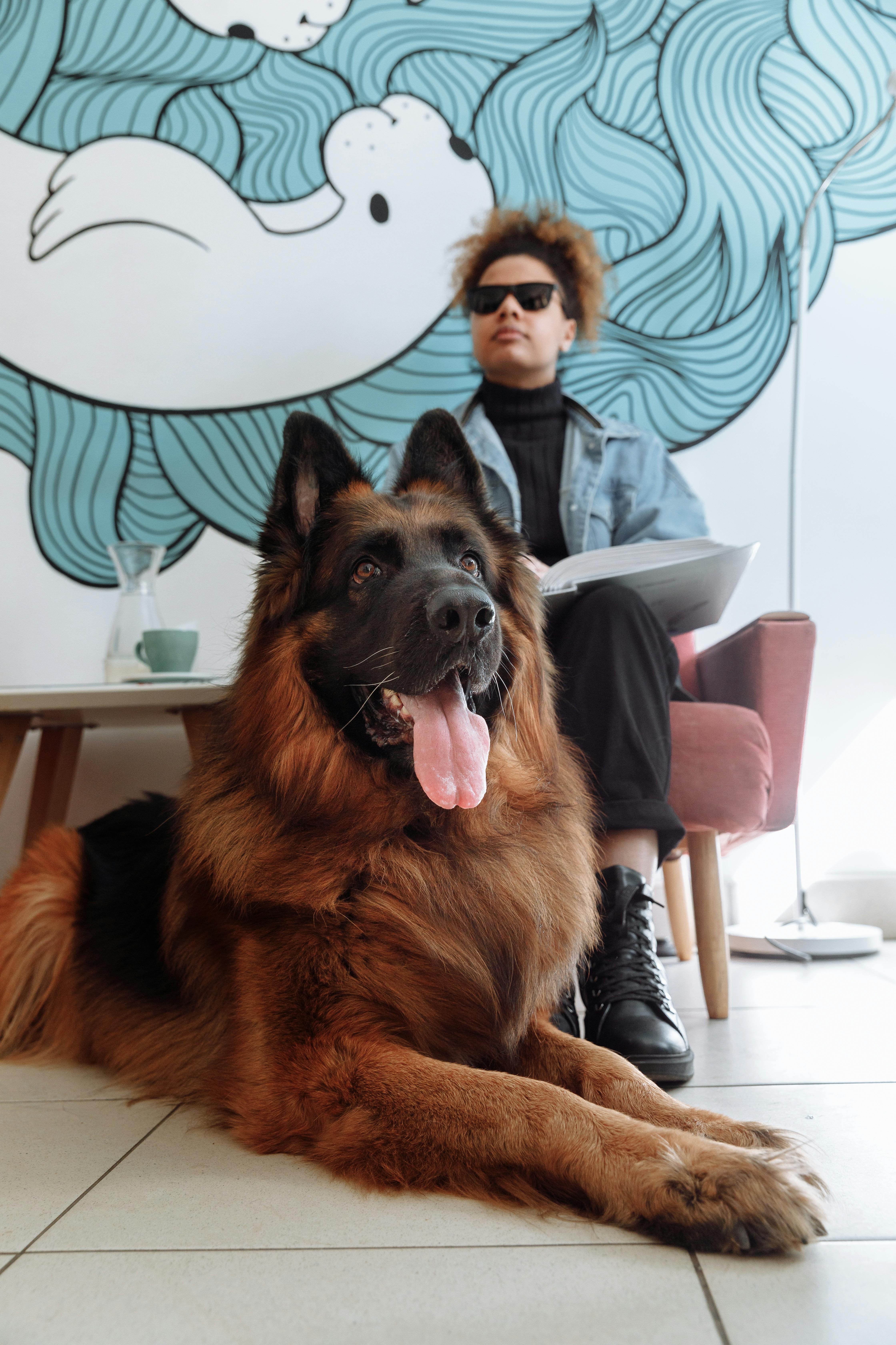 Dog 3