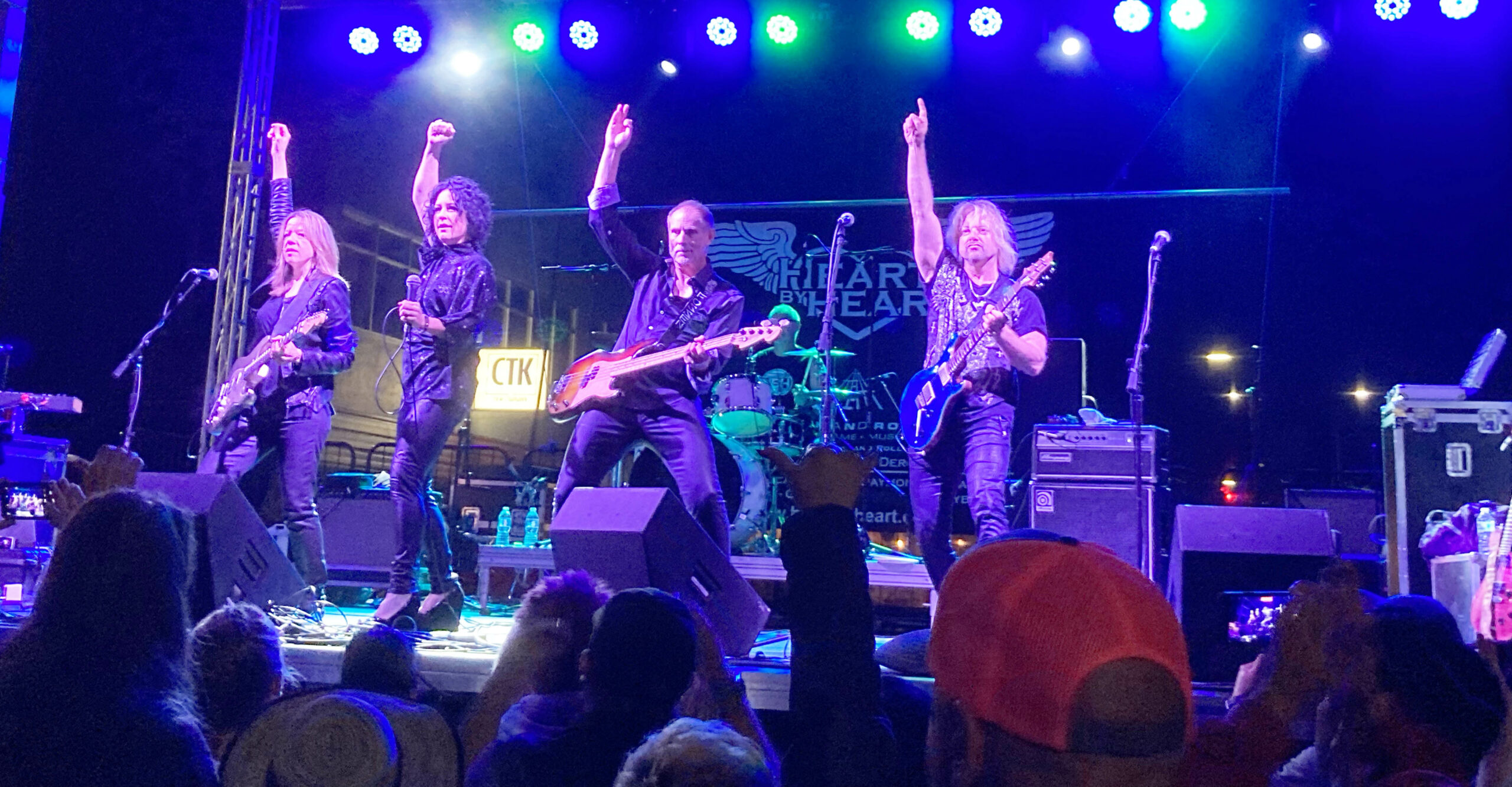 Oak Harbor Music Festival performance in 2014