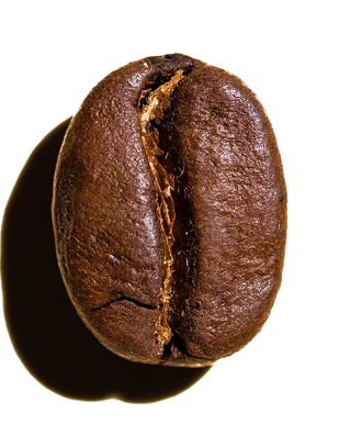 coffee bean image