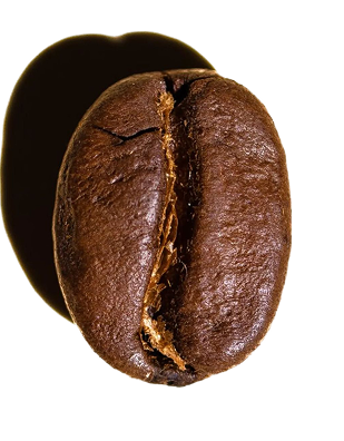 coffee bean image