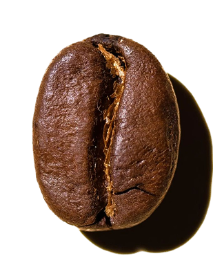 coffee bean image