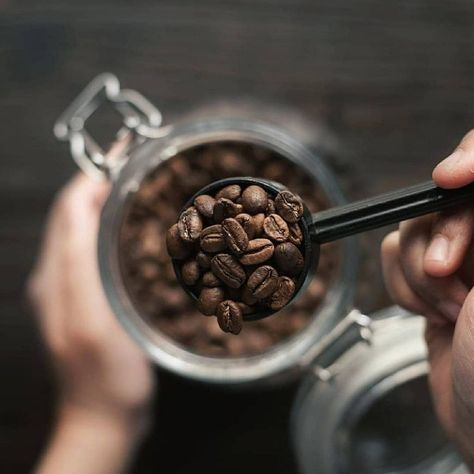Coffee Scoop