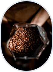 Dawn Light Roast