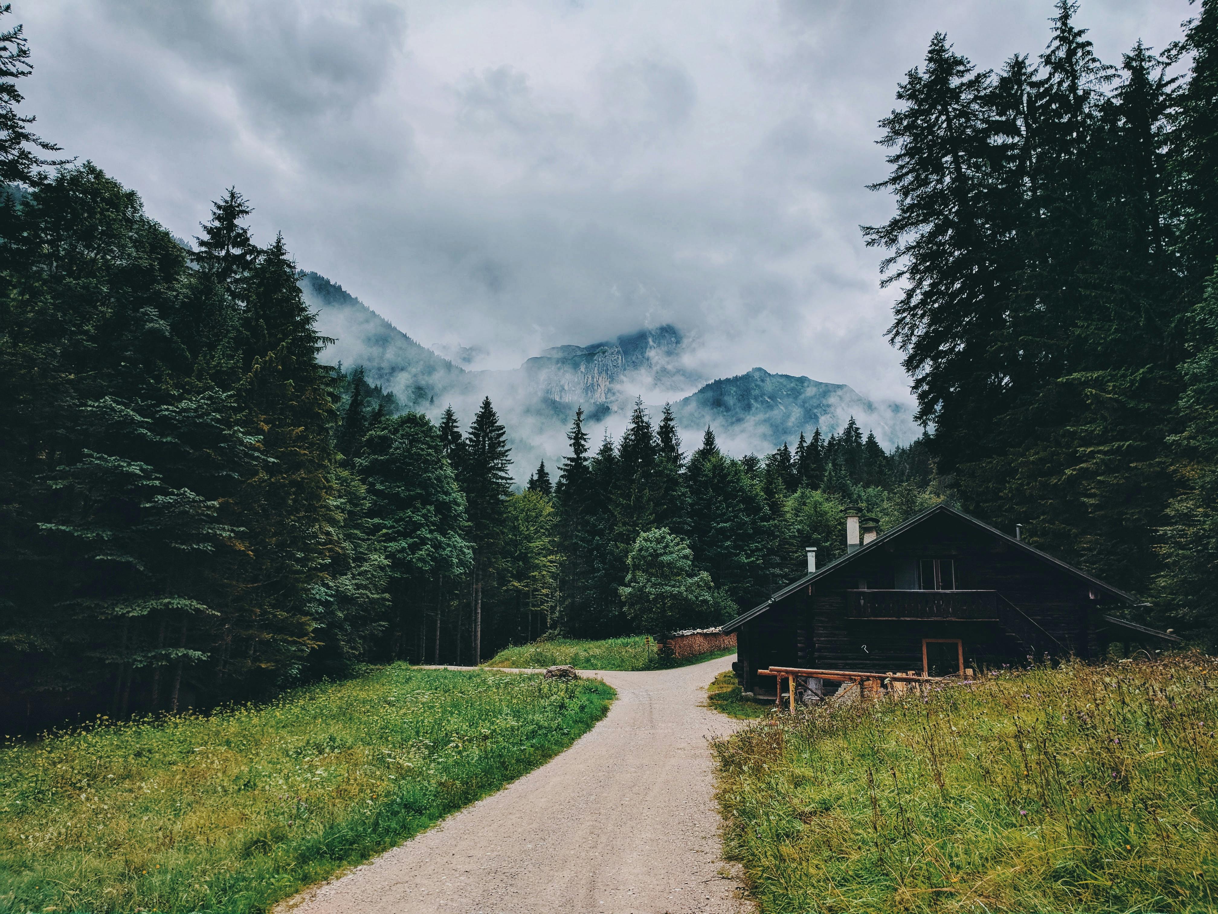 Cabin