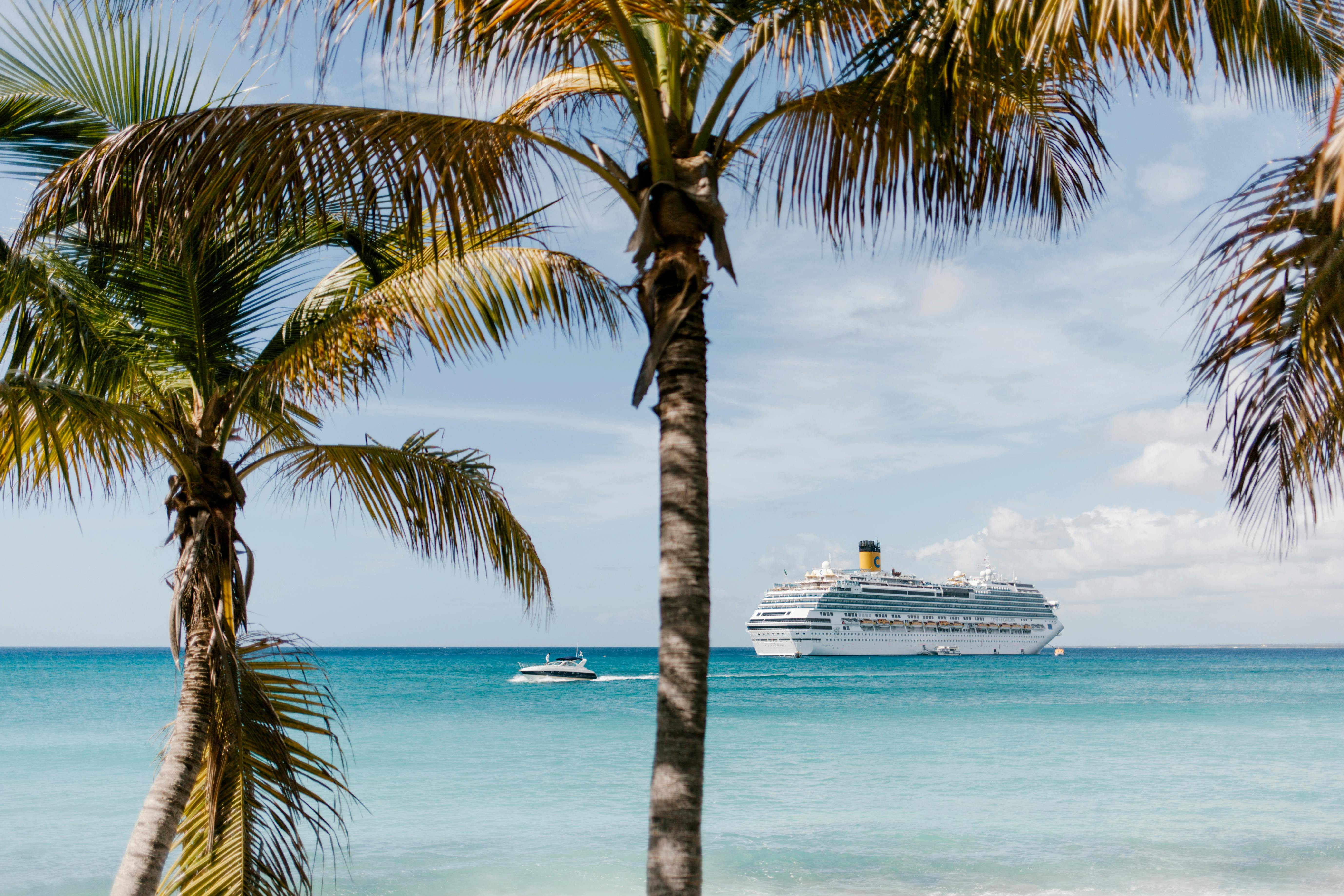 Cruise