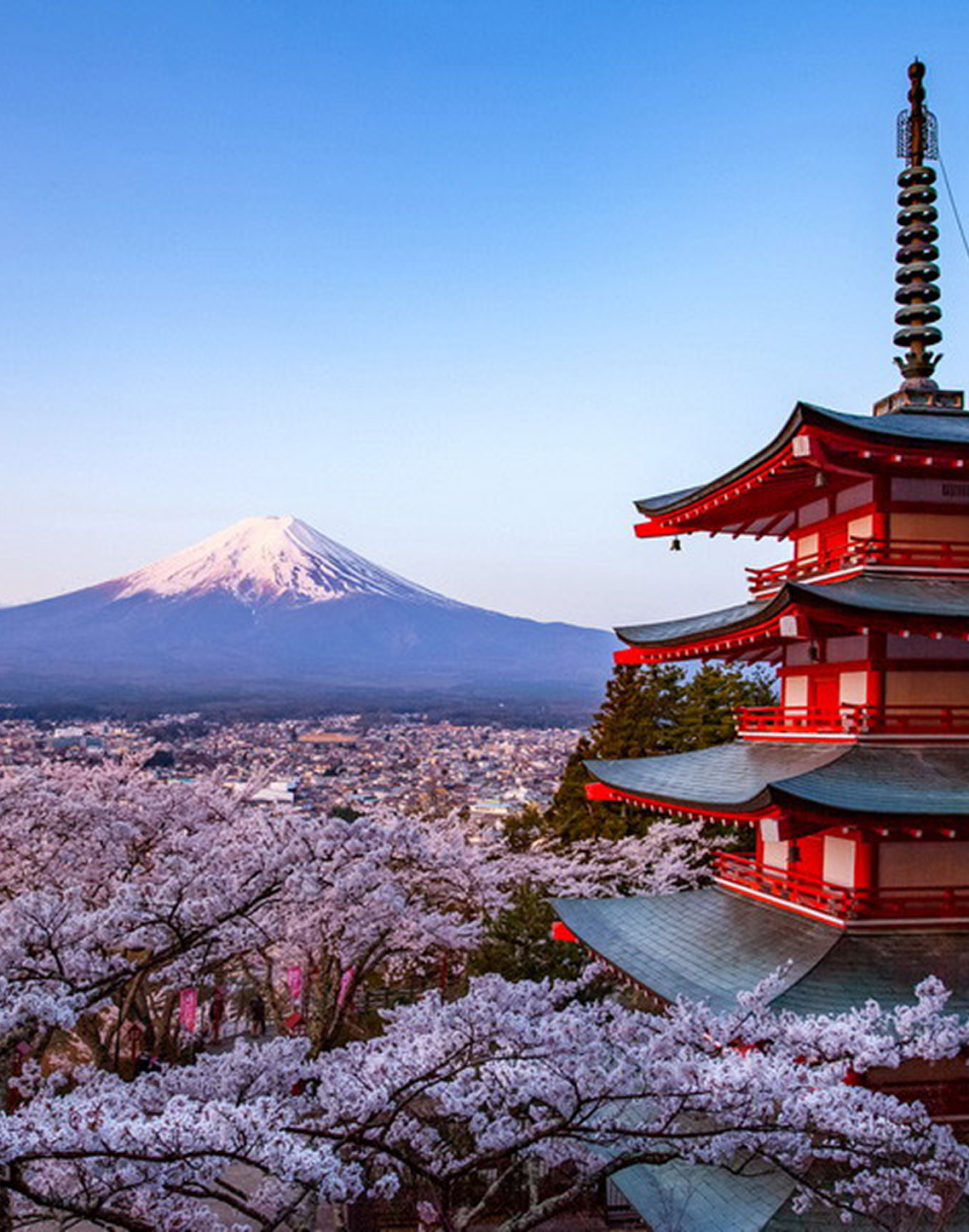 Cultural Japan Tour