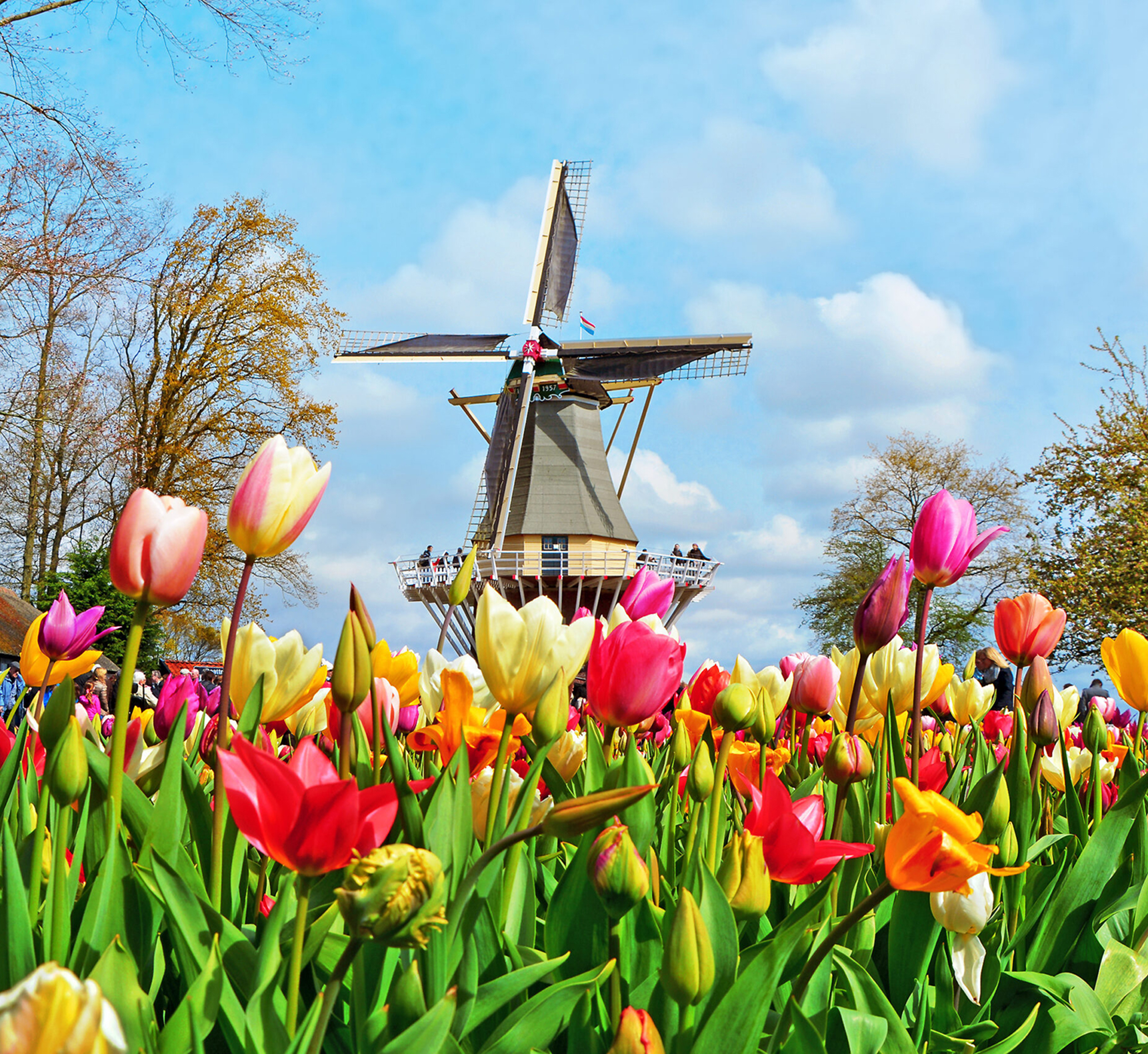 Keukenhof Gardens
