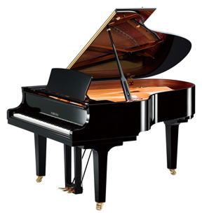 a grand piano with the lid open