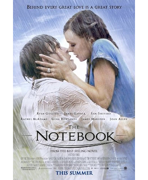 the Notebook