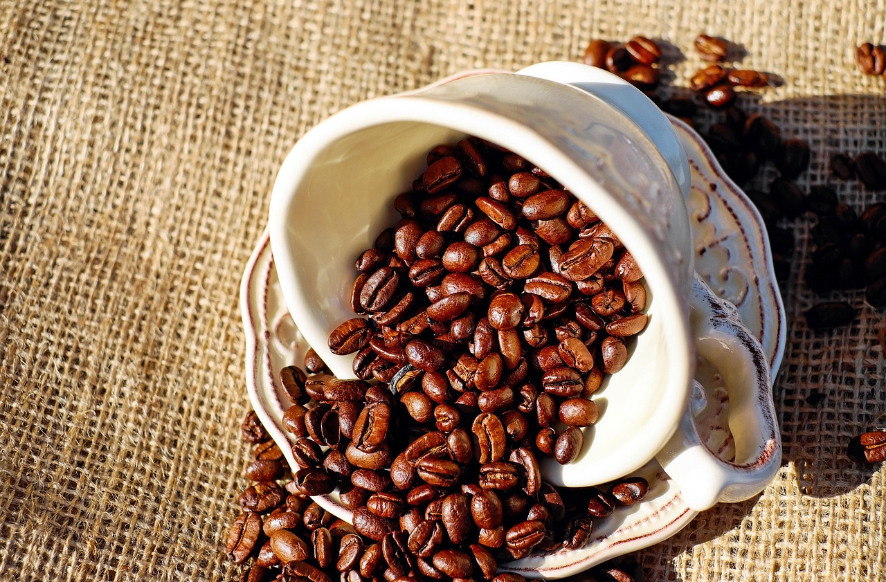 Coffee basics