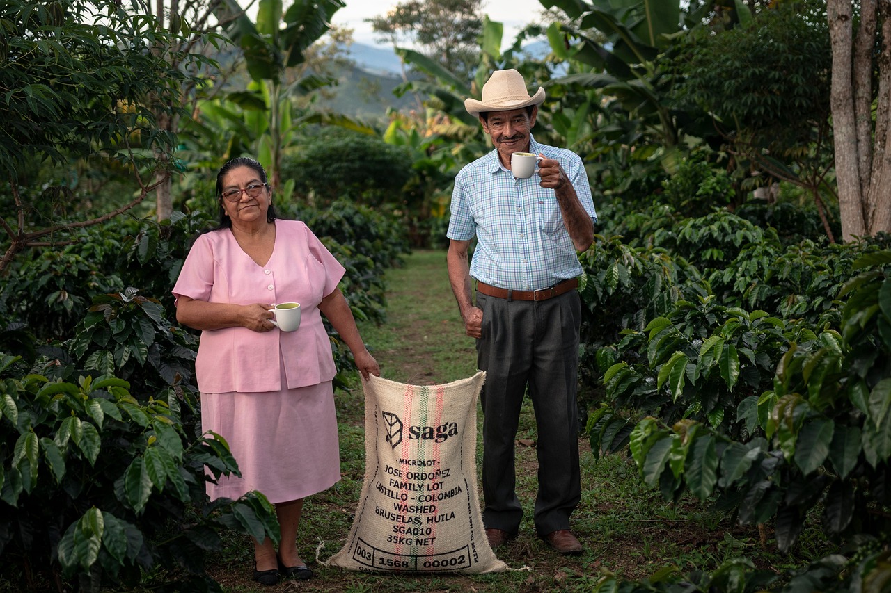 Colombian coffee beans and farming process