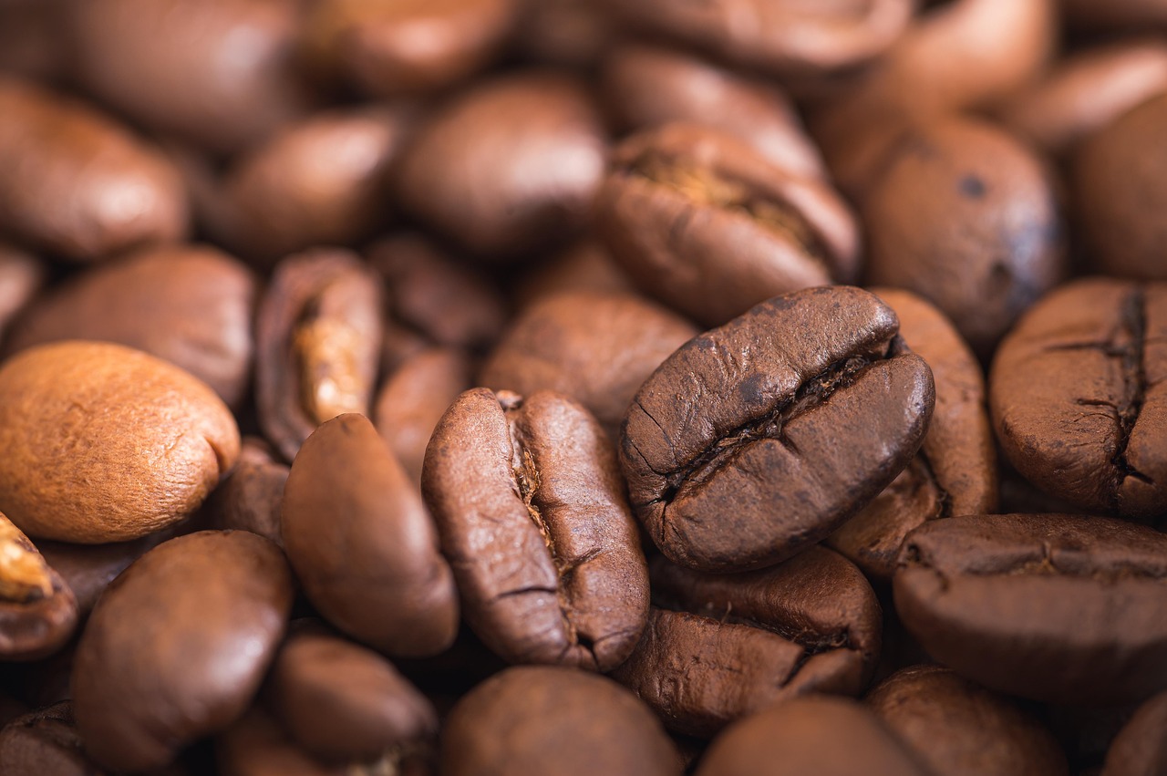 Sierra Nevada coffee beans
