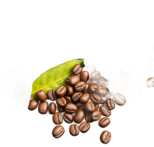 Brazilian Santos coffee