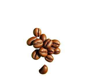 Kenya AA coffee