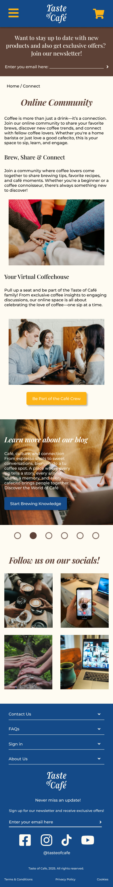 Mobile Connect Page