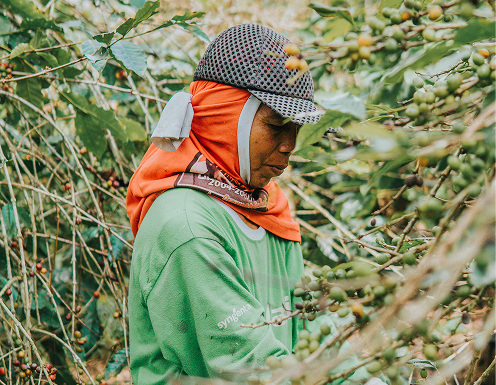 Venezuelan Farmer