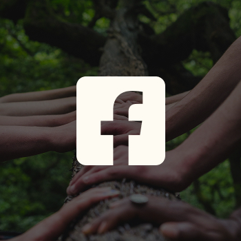 People putting their hands on a tree hovered