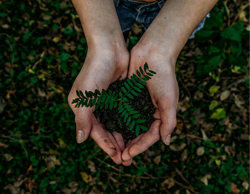 Hands Holding Dirt