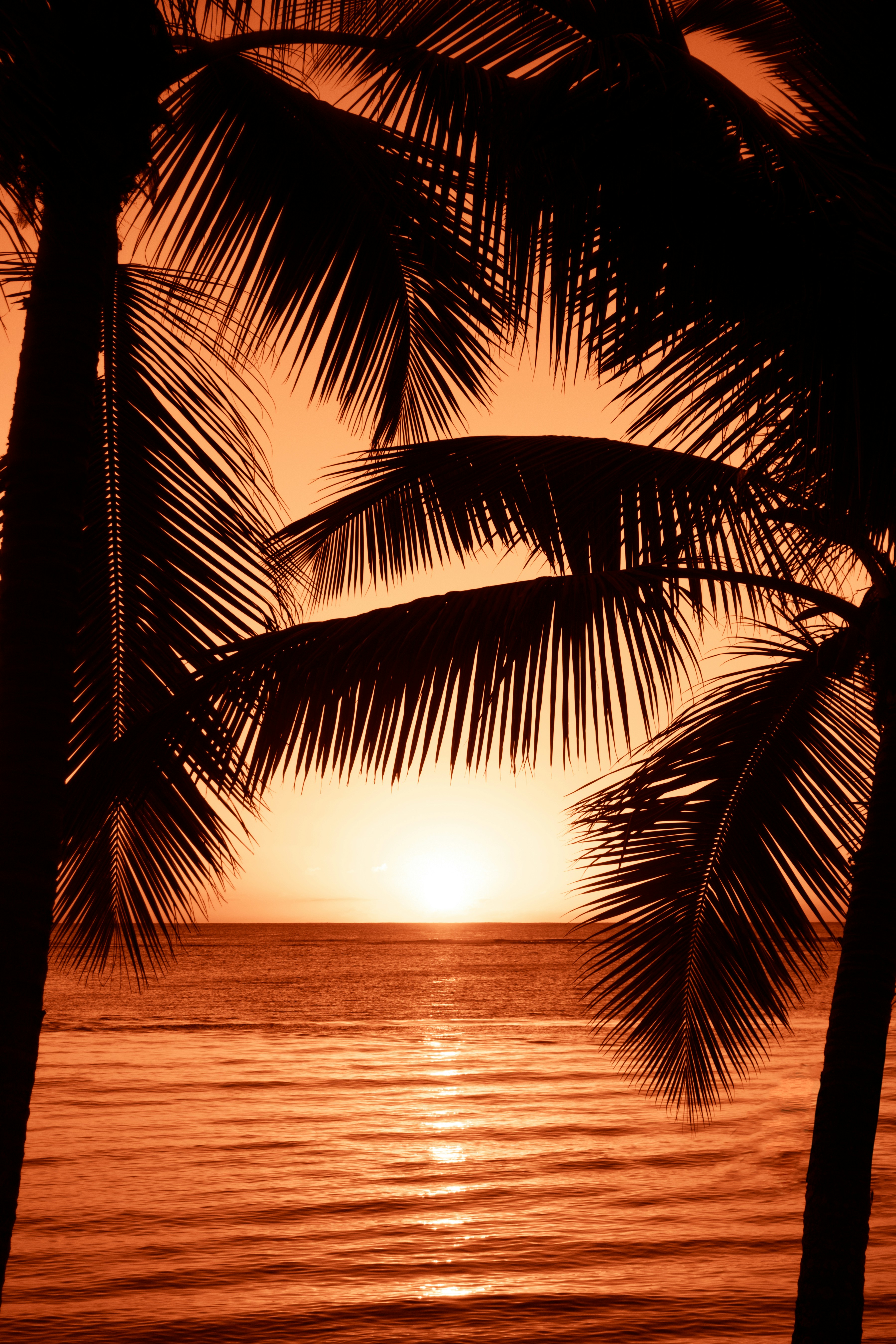 Beach Background