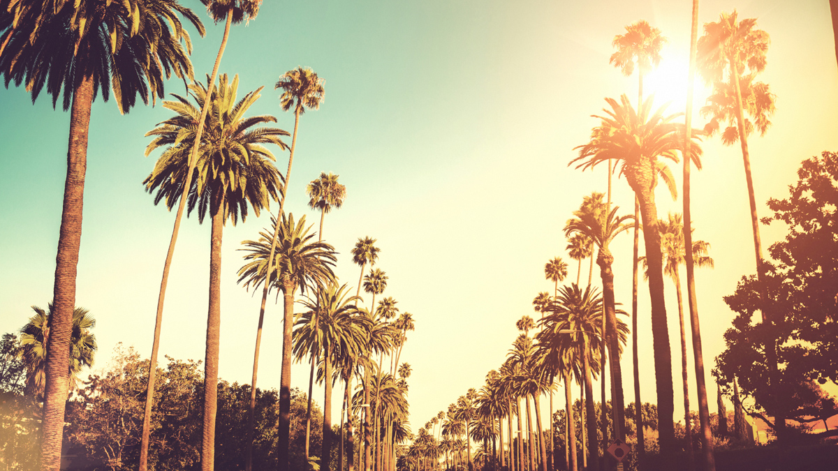 los angeles