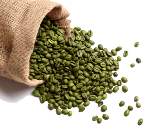 green coffee beans